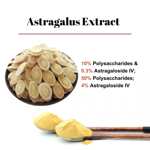 Astragalus Root Extract