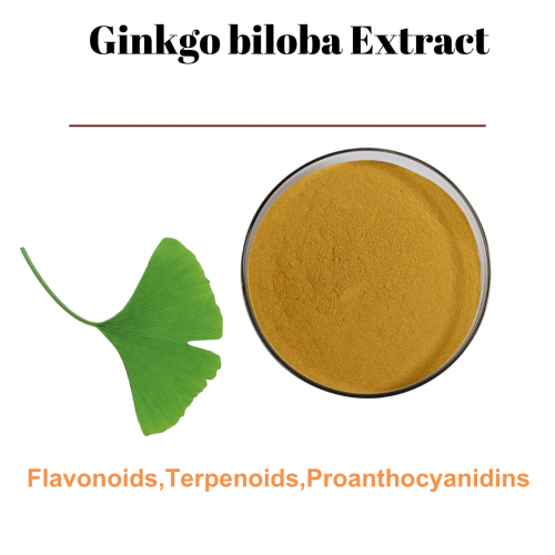 Ginkgo biloba Extract