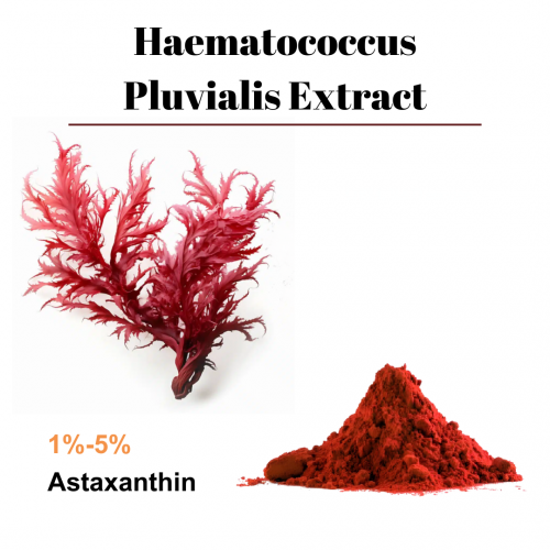 Haematococcus Pluvialis Extract 