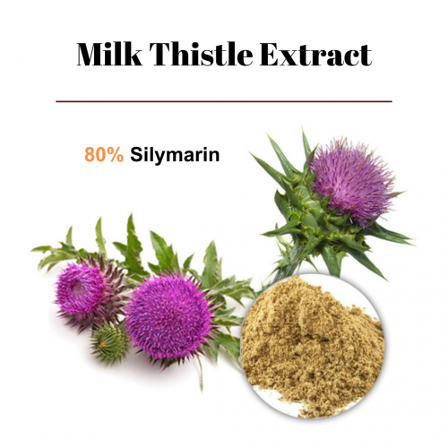 Milk Thistle Extract